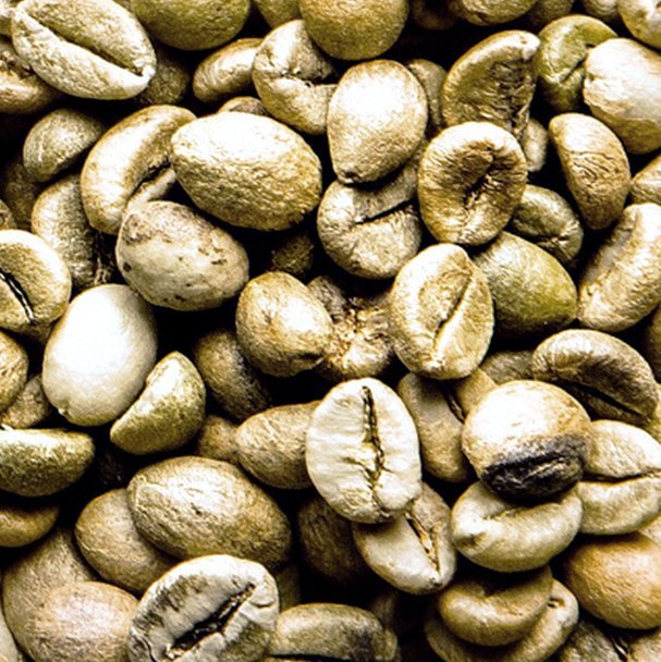 GREEN COFFEE BEANS