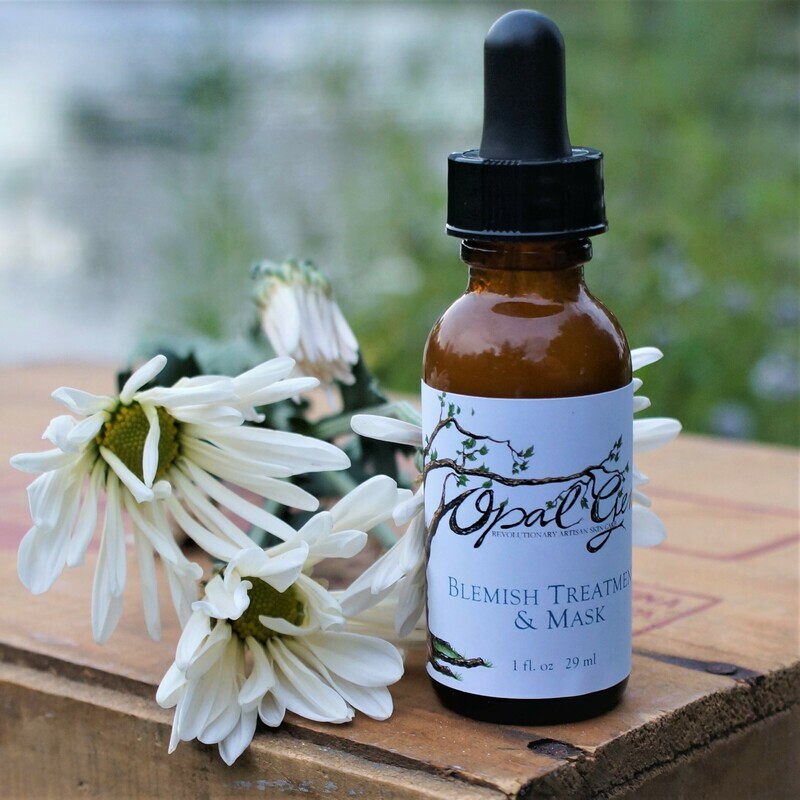 Blemish Treatment & Masque-8 oz Back Bar