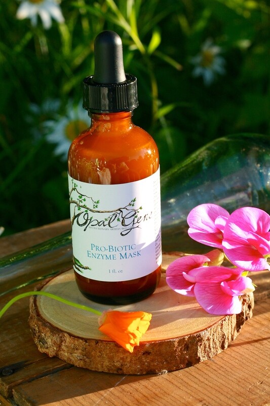 Probiotic Enzyme Masque-2 oz Back Bar
