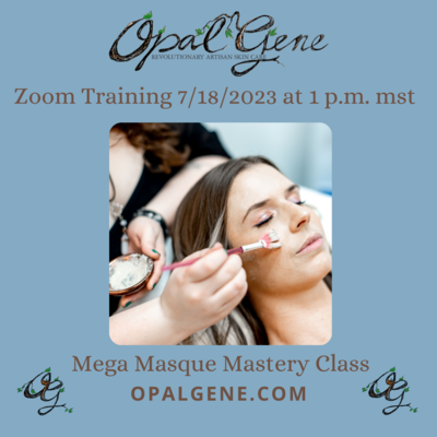 Mega Masque Mastery Class-Zoom