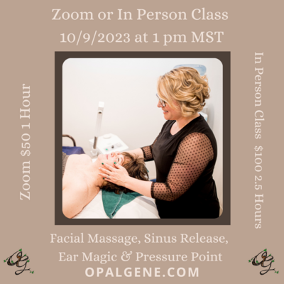 Facial Massage, Sinus Release, Ear Magic & Pressure Point Class-Zoom or In Person