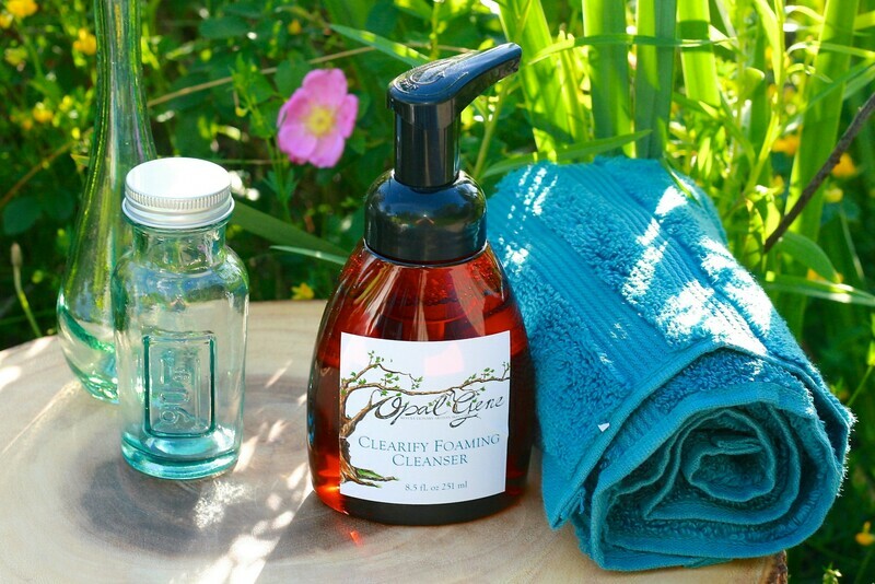 Clearify Foaming Cleanser