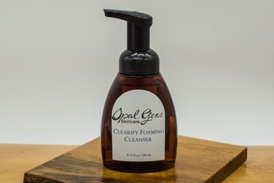 Clearify Foaming Cleanser