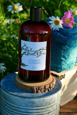 Clearify Foaming Cleanser-16 oz Back Bar