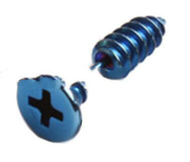 Mini Blue Stud Earrings Screws