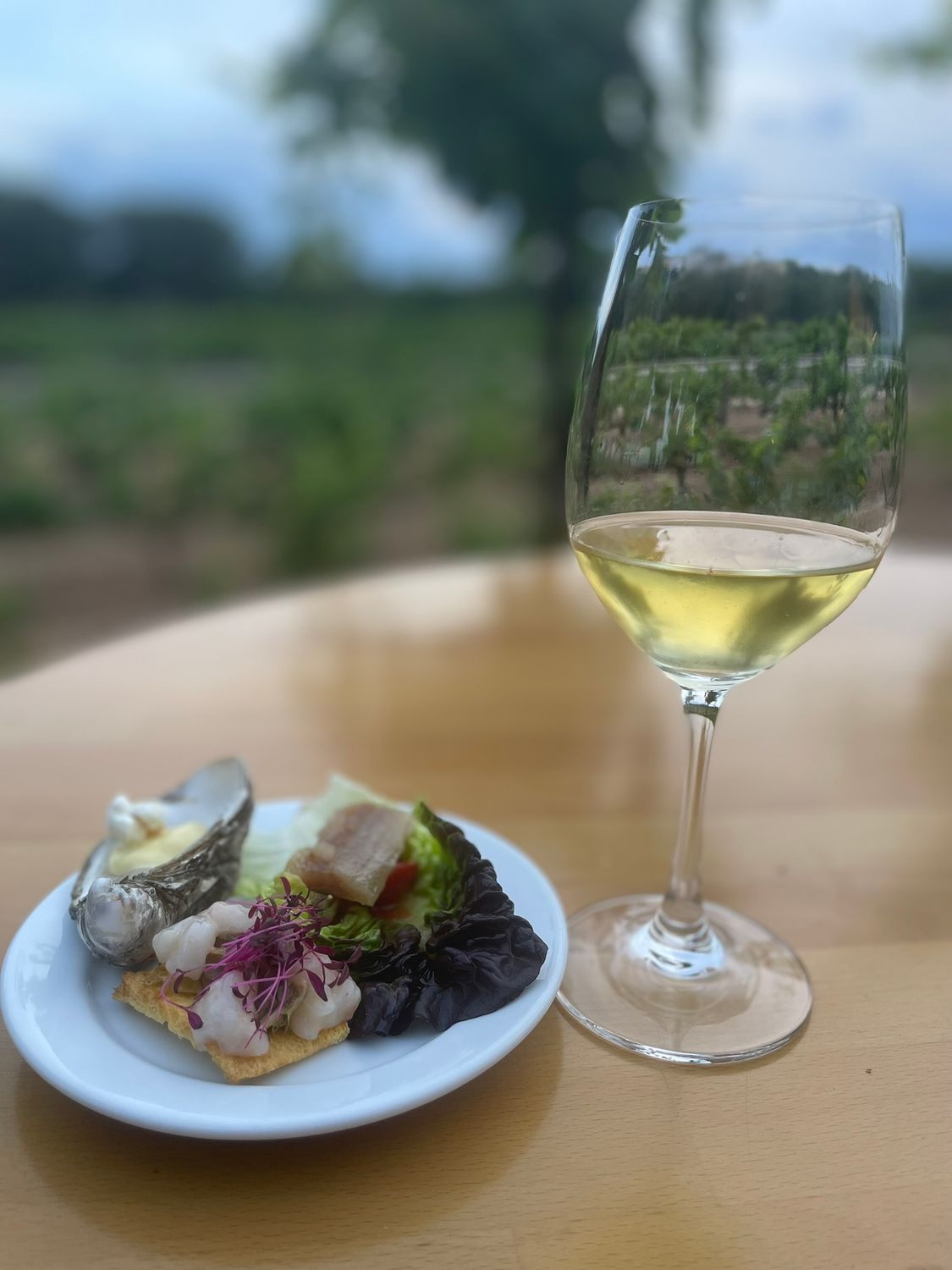 JS Travel Premium Tour "Empordan viini- ja ruokamatka 18.-23.11.2026" 2350€/jaetussa 2hh. Puolihoito+, Illallinen Michelinin tähden ravintolassa. Ennakkomaksu 430€. MESSUALENNUS -100€/hlö.