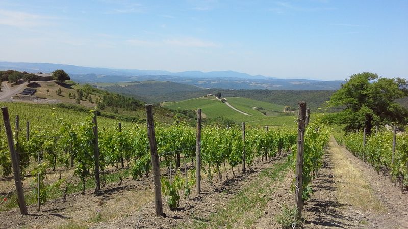 Toscanan tilausmatkan ennakkolasku lokakuu 2026