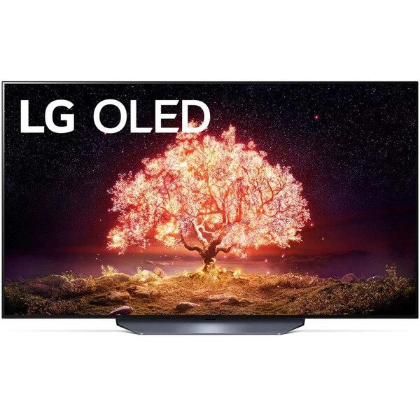Телевизор LG OLED55B1 2021 OLED, HDR, серый