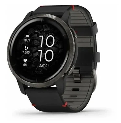 Умные часы Garmin Venu 2 Wi-Fi NFC, черный