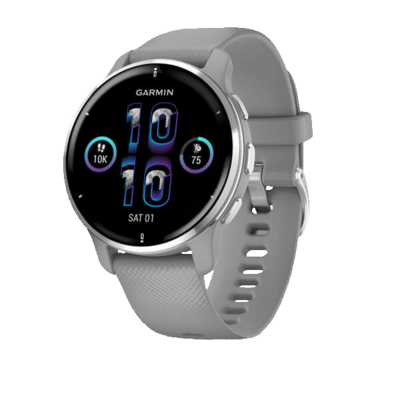 Умные часы Garmin Venu 2 Plus Wi-Fi, серебристый/серый