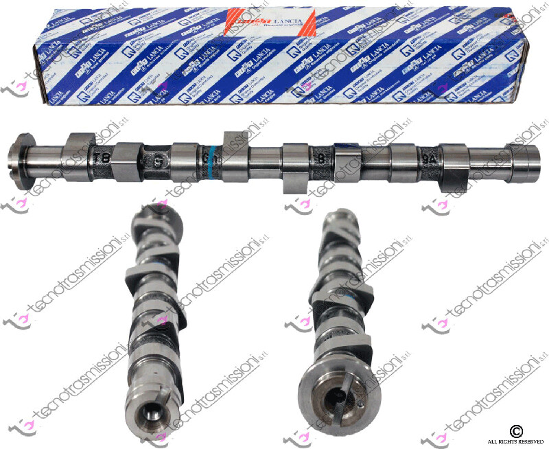 Albero a Camme Panda 4x4-Punto 1.1 8V - 1.2 8V