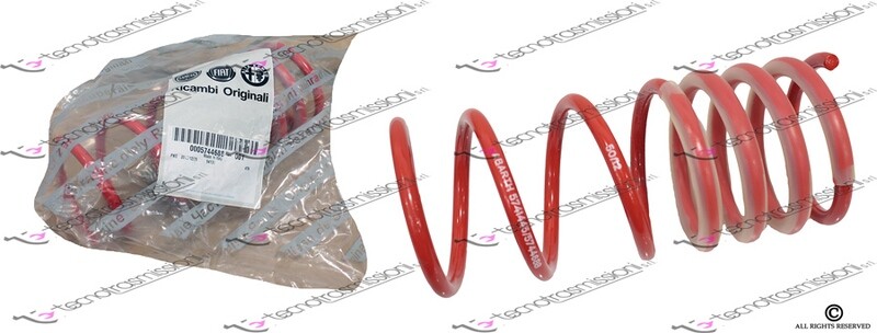 500 Abarth Rear Spring