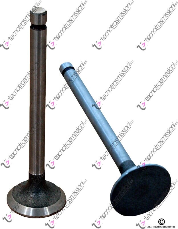Kit valvole scarico Fiat 850