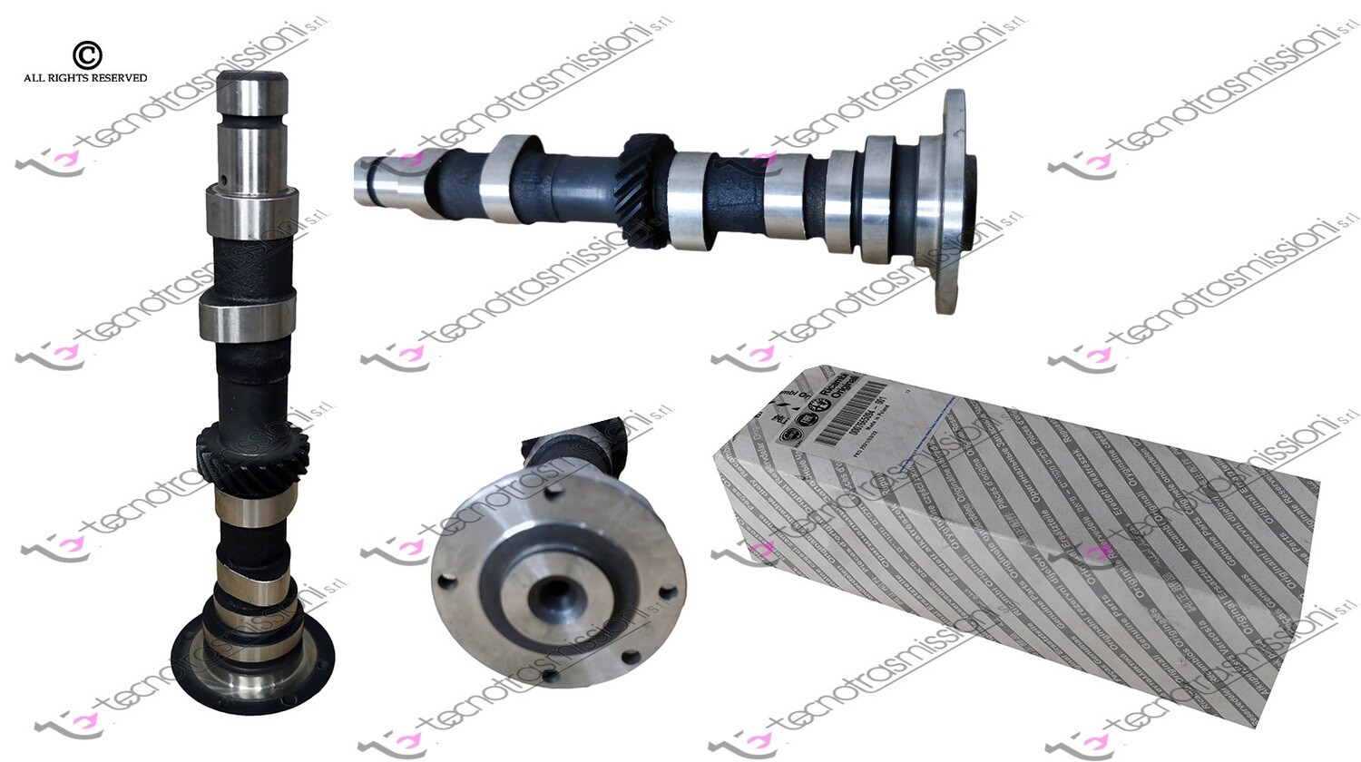 Albero distribuzione Cinquecento 700 CC
