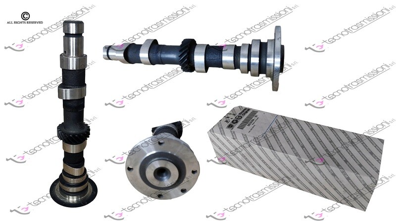 Albero distribuzione Cinquecento 700 CC