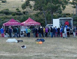 2025 Raid Volunteers and Discounts