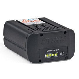 AP 300 Battery