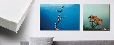 Photo Prints &amp; Products