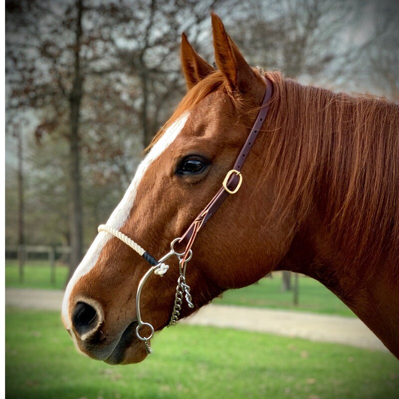 7 1/2" Rope Nose Hackamore