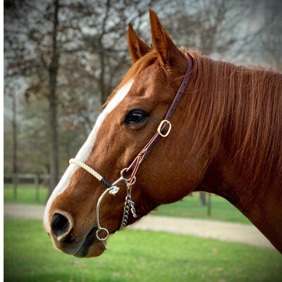 7 1/2" Rope Nose Hackamore