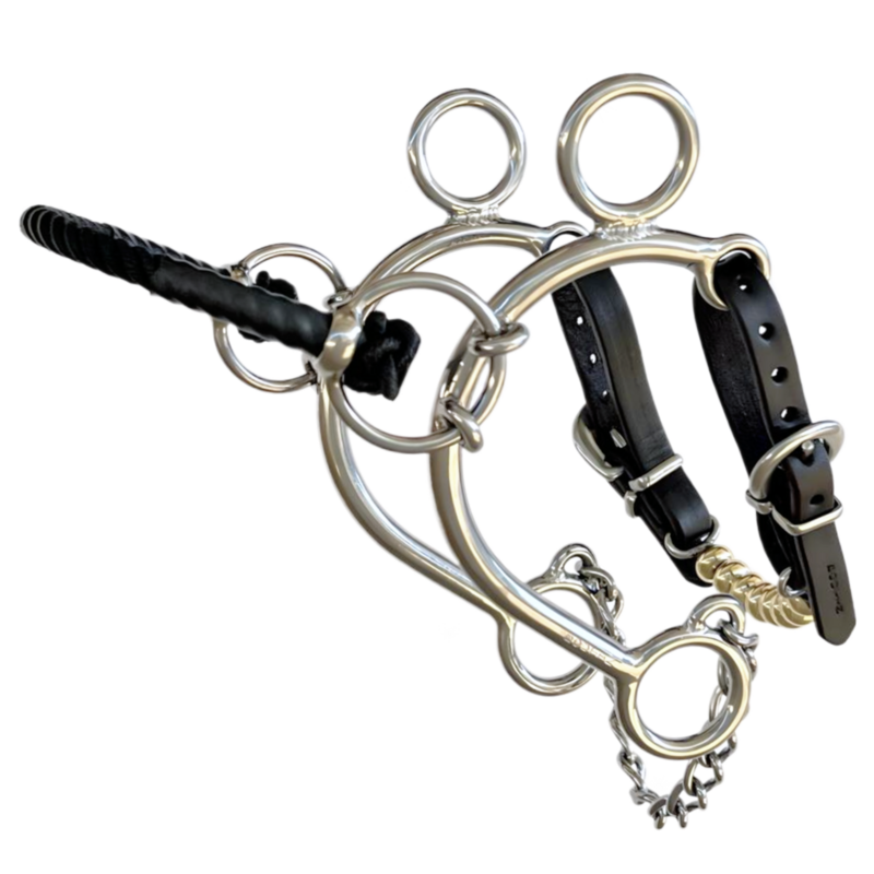 Vegas Hackamore