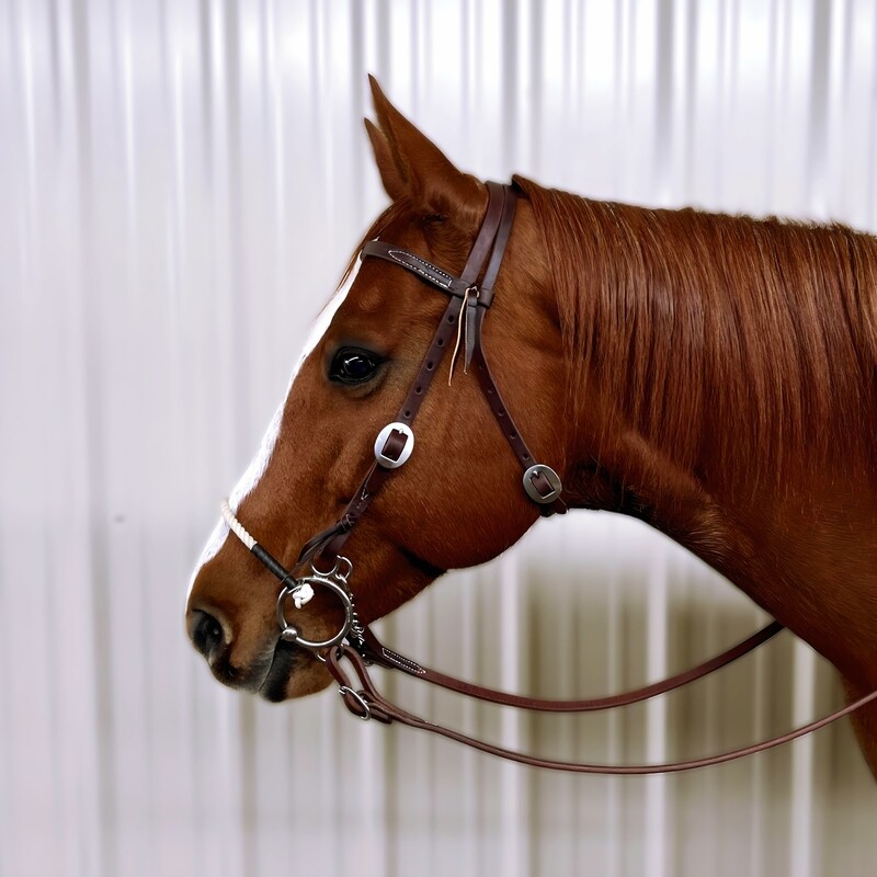 Futurity O-Ring Unlocked Combo