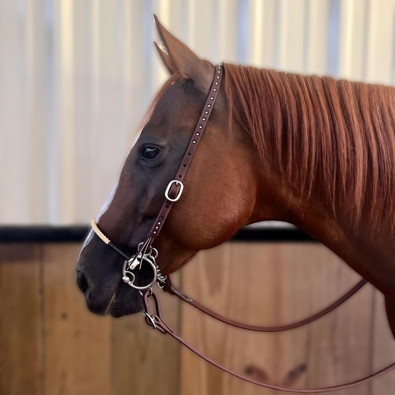 Futurity O-Ring Locked Combo