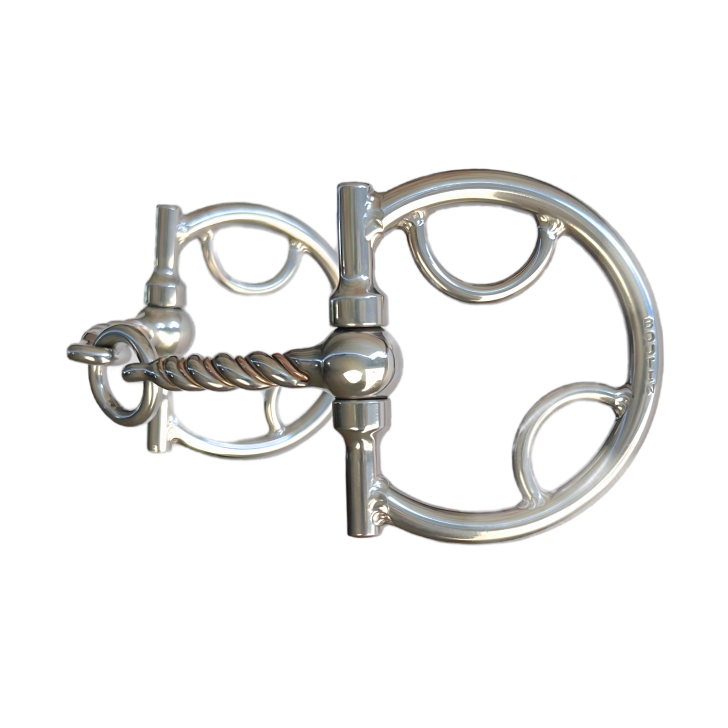 D Ring with Headstall and Rein Rings