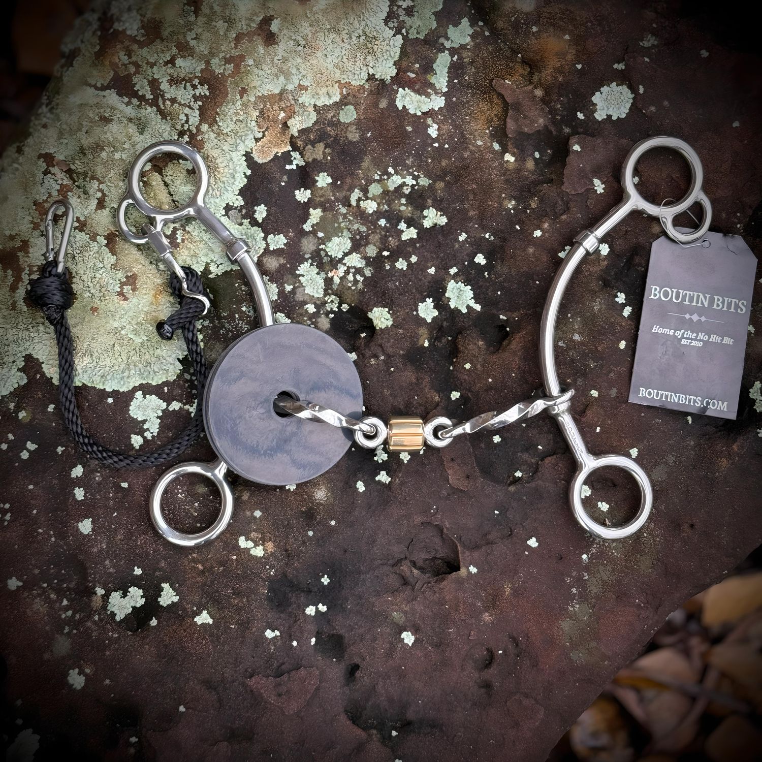 Stevi Medium Square Twist Dog Bone Cricket