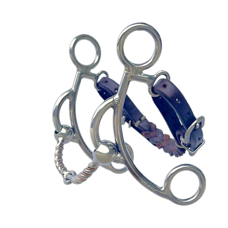 Squirt with Leather Braided Curb