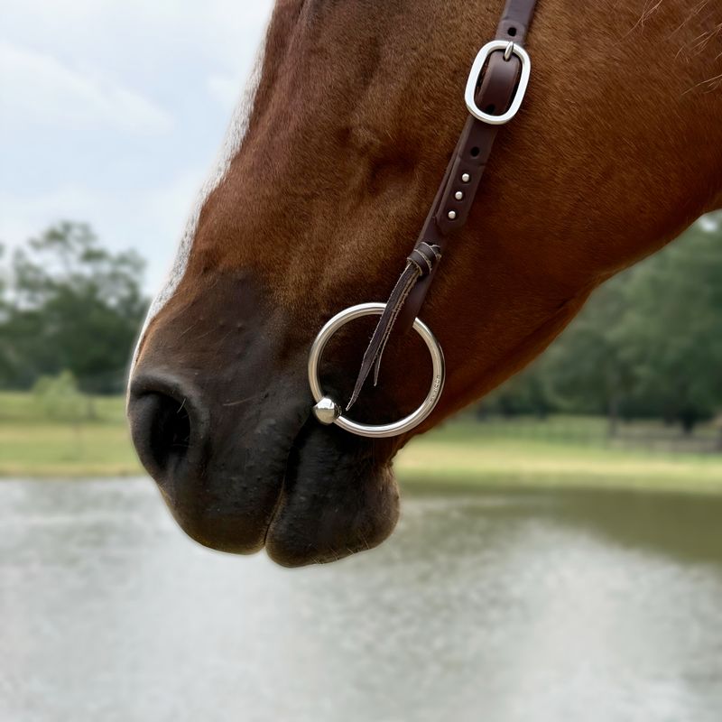 5/16" O-Ring