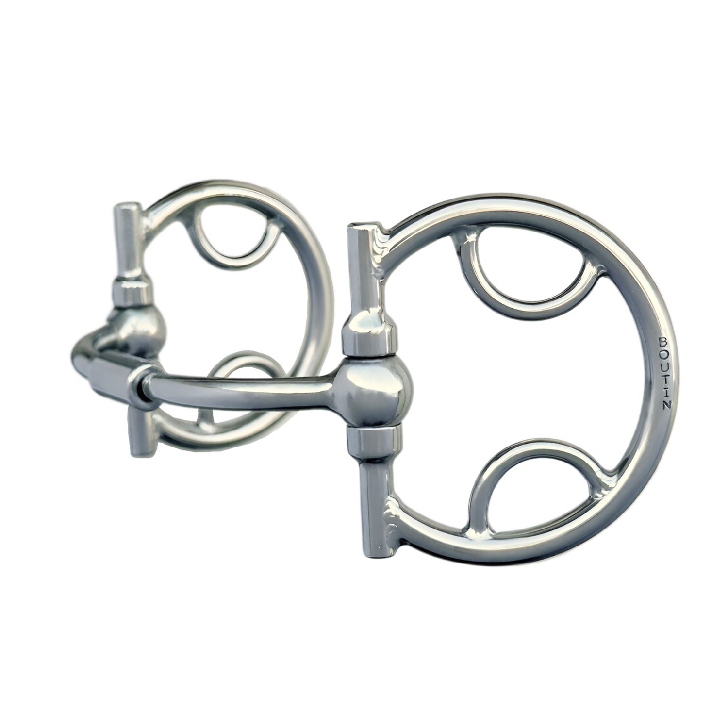 D Ring with Headstall and Rein Rings