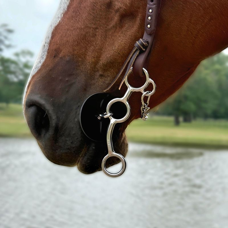 Jr Cowhorse