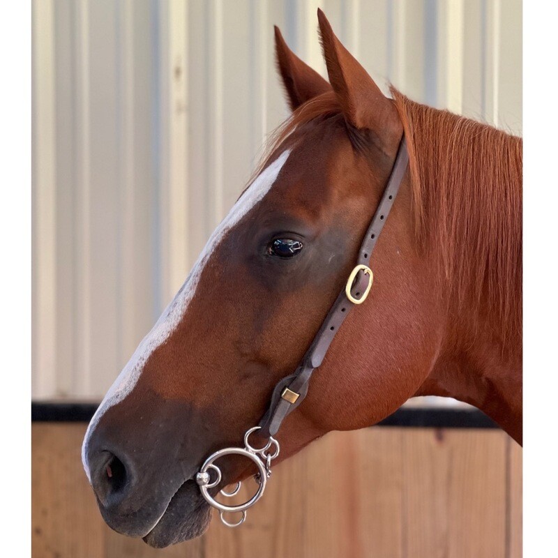 Futurity O-Ring Locked
