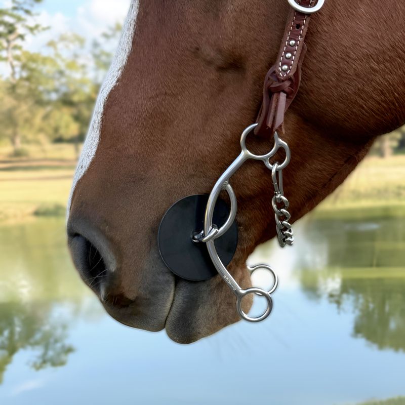 7" Competition Gag Lifter