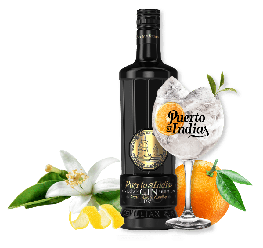Kit Gin Puerto de Indias Pure Black   + taça