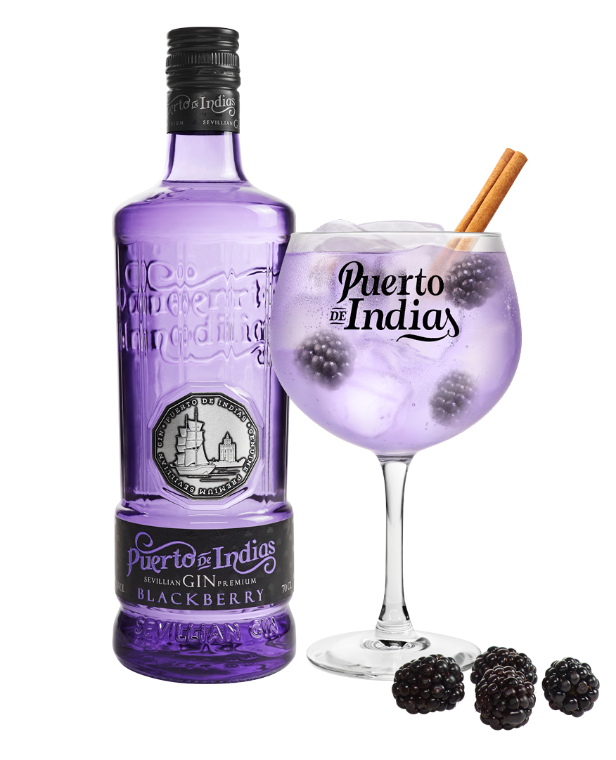Kit Gin Puerto de Indias Blackberry + taça