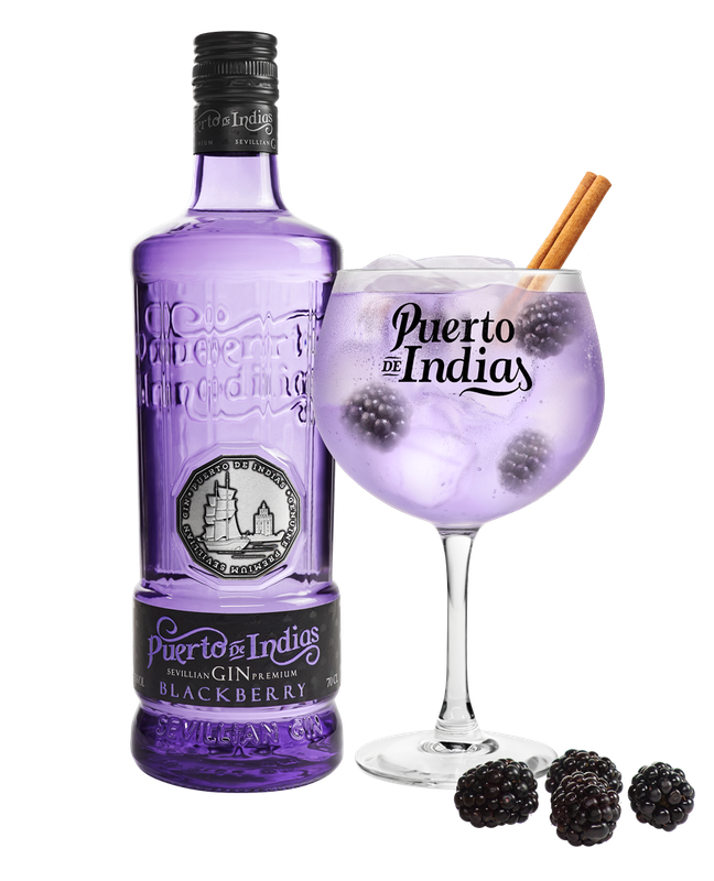 Kit Gin Puerto de Indias Blackberry + taça