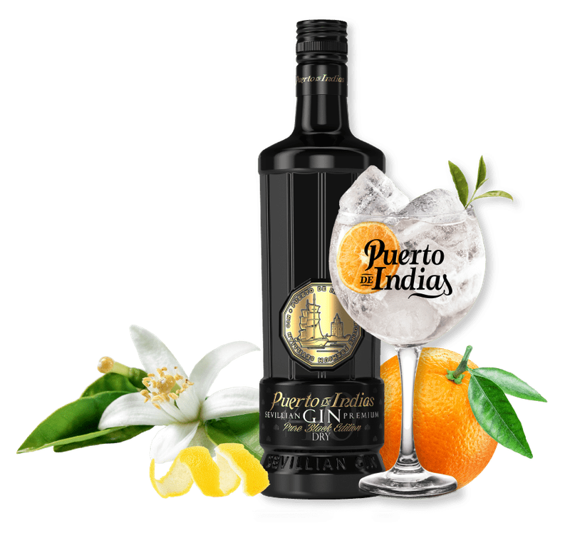 Kit Gin Puerto de Indias Pure Black   + taça