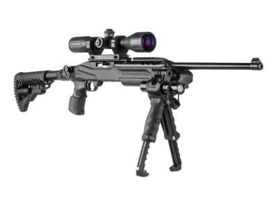 Ruger 1022