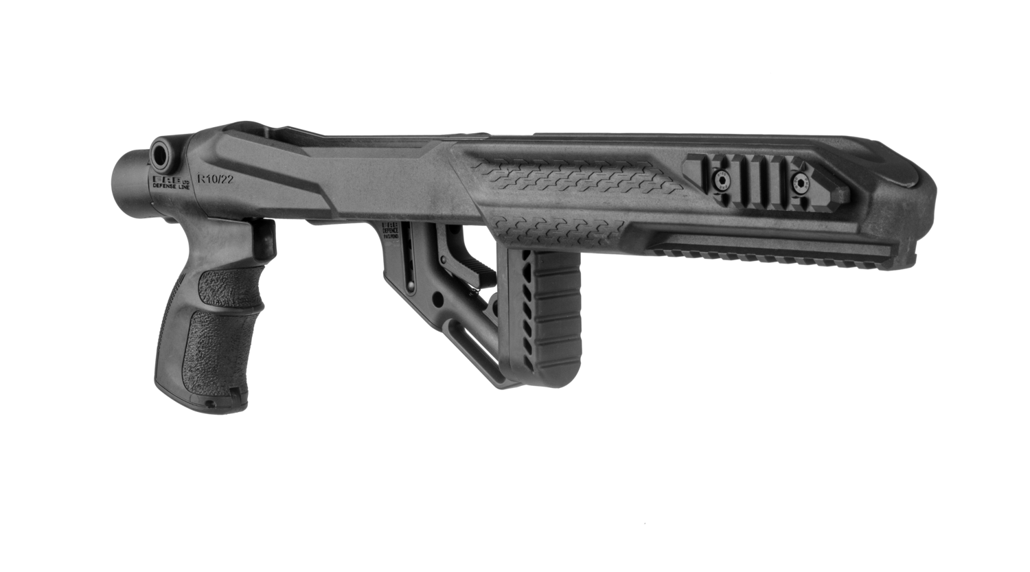 Ruger 1022 Chassis