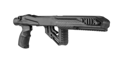 Ruger 1022 Chassis