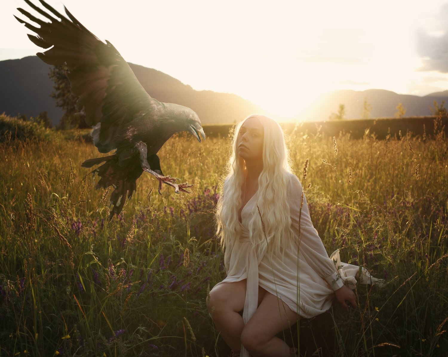 Where the Wild Things Are