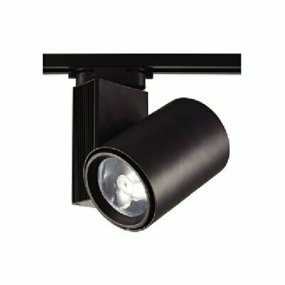 Projector 30W 4000k Preto