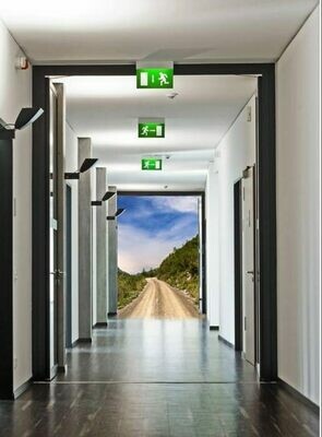 Armaduras de Emergência