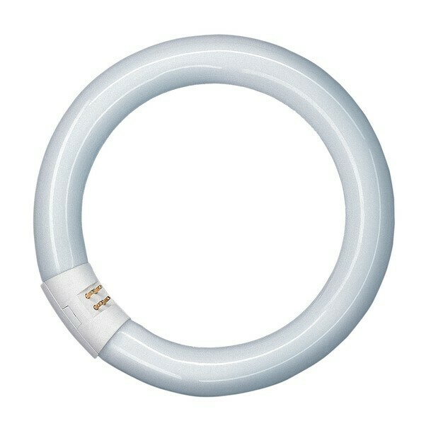 Lâmpada Tubo Fluorescente Circular Trifosforo 22W, Ø21,6cm - EDM