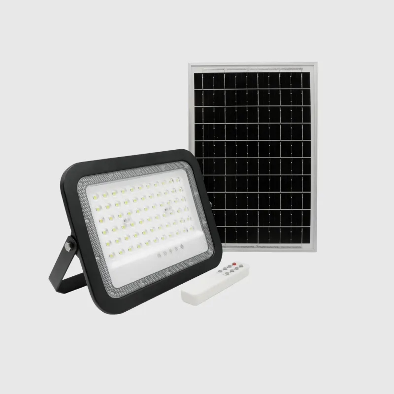 Projetor Solar Led C/Comando 100W