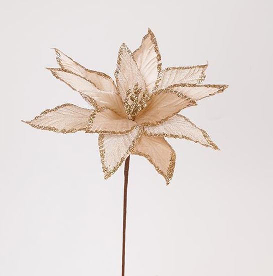 FLOR NATALICIA DOURADA