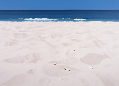 Shells on Warm Sand