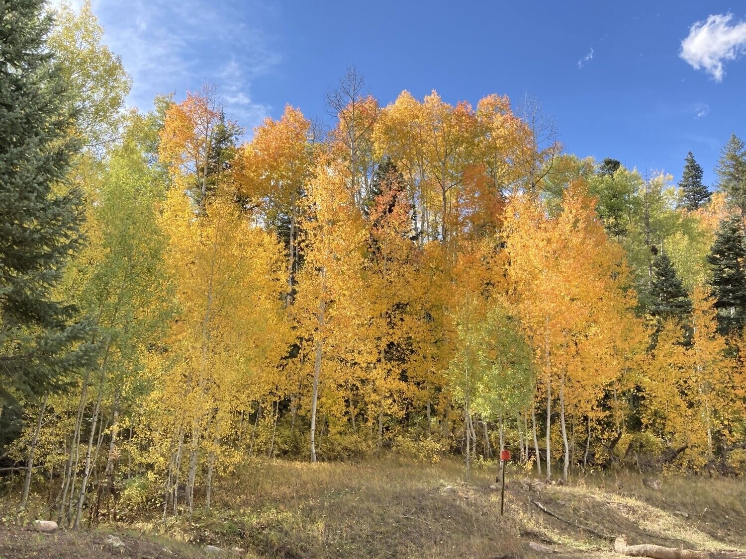 colorado-fall-colors-september-25-october-1-2022